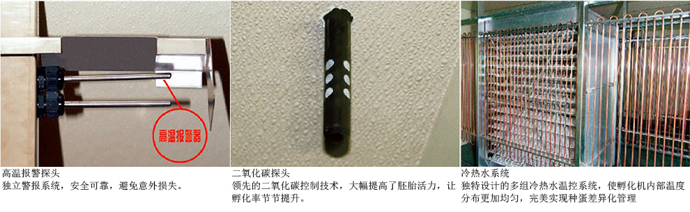 单阶段大型孵化机